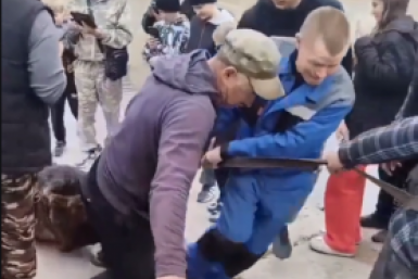 Медведя ликвидировали в Усольском районе